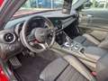 Alfa Romeo Giulia QUADRIFOGLIO 2.9 V6 Bi-Tu 520 PS El. Fondsitzverst Rot - thumbnail 14