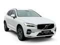 Volvo XC60 B4 Core StndHzg AHB-LED RFK Leas.o.Anz.519€ Bianco - thumbnail 3