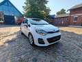 Kia Rio 1,2 Dream Team / Klimaautomatik. PDC  1 Hand Weiß - thumbnail 2