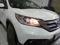 Honda CR-V 1.6i-DTEC Elegance 4x2 Blanco - thumbnail 15