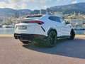 Lamborghini Urus Urus 4.0 V8 650 ch BVA8 Wit - thumbnail 5