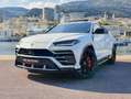Lamborghini Urus Urus 4.0 V8 650 ch BVA8 Wit - thumbnail 1