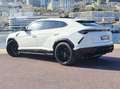 Lamborghini Urus Urus 4.0 V8 650 ch BVA8 Wit - thumbnail 7