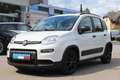 Fiat Panda 4x2 FireFly Hybrid 70 City Life Weiß - thumbnail 1