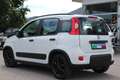 Fiat Panda 4x2 FireFly Hybrid 70 City Life Weiß - thumbnail 6