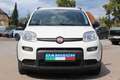 Fiat Panda 4x2 FireFly Hybrid 70 City Life Weiß - thumbnail 2
