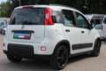 Fiat Panda 4x2 FireFly Hybrid 70 City Life Weiß - thumbnail 4