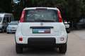 Fiat Panda 4x2 FireFly Hybrid 70 City Life Weiß - thumbnail 5