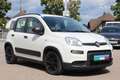 Fiat Panda 4x2 FireFly Hybrid 70 City Life Weiß - thumbnail 3