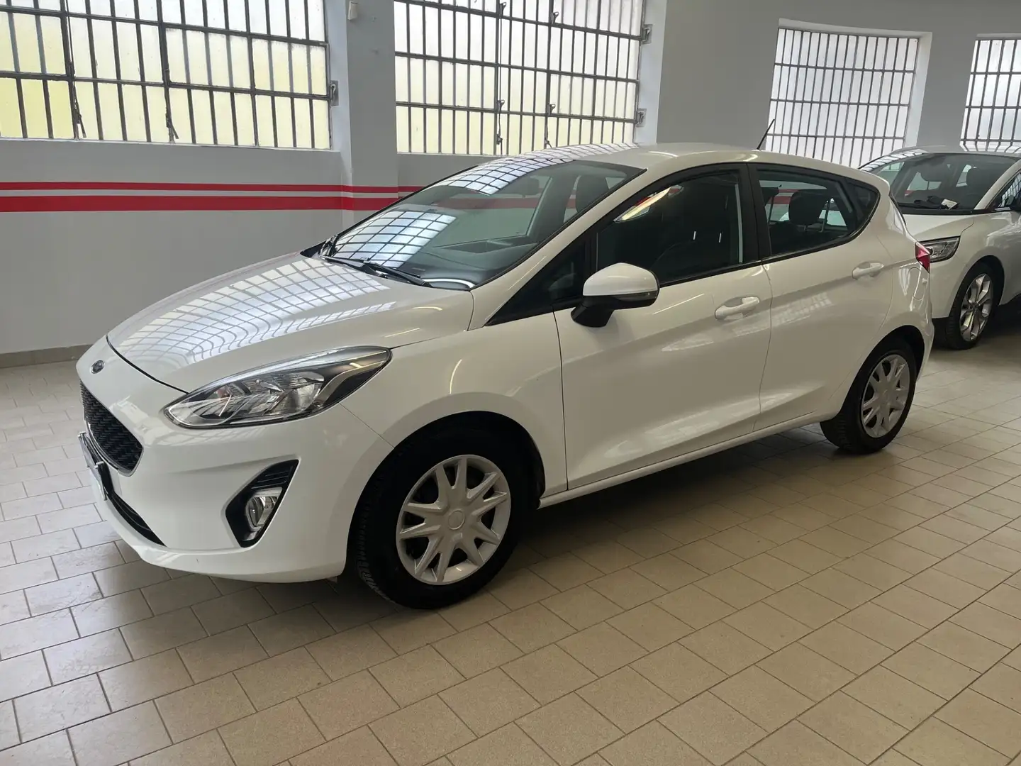 Ford Fiesta 1.5 EcoBlue 5 porte Business Bianco - 1