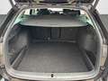 Skoda Octavia 2.0 TDI Selection 110 kW Schwarz - thumbnail 21