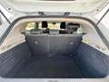 Renault Clio Blue dCi Business 63kW Blanco - thumbnail 14
