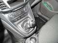 Ford L2 Trend - 3 Sitzer, Allw., PDC, beh. Fronts. Gümüş rengi - thumbnail 15