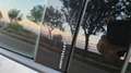 SEAT Ibiza Ibiza 1.0 ecotsi Anniversary-Limited Edition Bianco - thumbnail 11