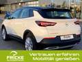 Opel Grandland X Plug-In Innovation+LED+Navi Weiß - thumbnail 11