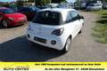 Opel Adam Adam 1.4 Glam - Glasdach - Scheckheft - Allwetter Blanc - thumbnail 3