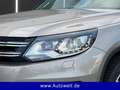 Volkswagen Tiguan Trend & Fun BMT Beige - thumbnail 7