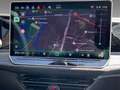 Volkswagen Passat R-Line "Signature" 2.0 TDI DSG 4M AHK/HUD Grau - thumbnail 12