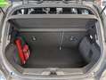 Ford Fiesta 1.0 MHEV ST-Line X ACC Navi Gris - thumbnail 9