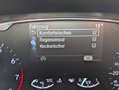 Ford Fiesta 1.0 MHEV ST-Line X ACC Navi Gris - thumbnail 29