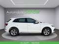 Audi Q5 40 TDI quattro sport S-tronic Weiß - thumbnail 7