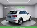 Audi Q5 40 TDI quattro sport S-tronic Weiß - thumbnail 6