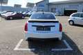 Cadillac CTS CTS-V 6,2 V8 *FULL*CARBON*BOSE* Weiß - thumbnail 4