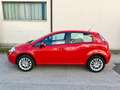 Fiat Punto Evo 5p 1.4 natural power Dynamic 70cv UNICO PROPRIETAR Rot - thumbnail 3