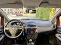 Fiat Punto Evo 5p 1.4 natural power Dynamic 70cv UNICO PROPRIETAR Rot - thumbnail 7