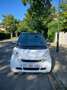 smart forTwo Coupe 1.0i Mhd Passion Softouch Blanc - thumbnail 1