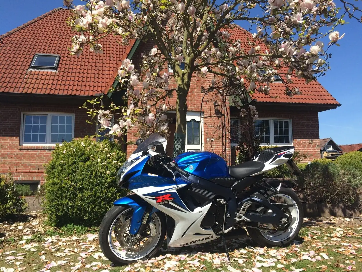 Suzuki GSX-R 600 Niebieski - 1