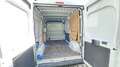 Fiat Ducato 2.2 Diesel L2H2*Tempomat*PDC*DAB*Bluetoot Weiß - thumbnail 5