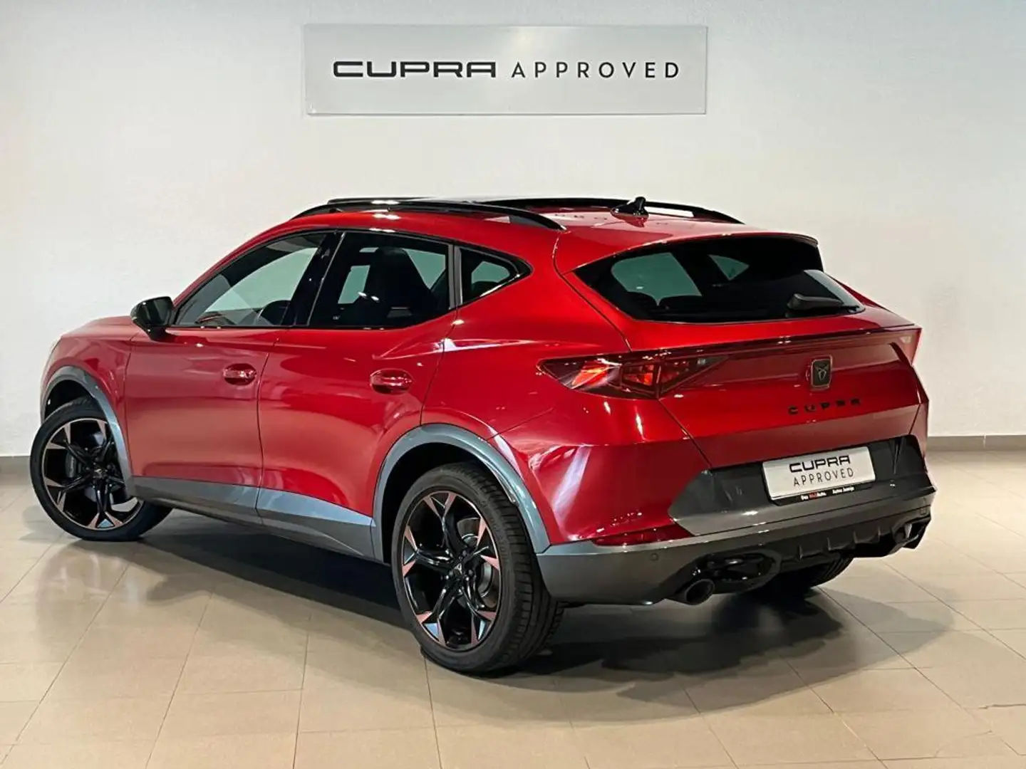 CUPRA Formentor 2.0 TSI 245 VZ DSG Gris - 2