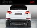 Porsche Cayenne Diesel - LED|Pano|Stzhzg+belüft|Kam|21 Blanc - thumbnail 5