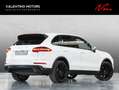 Porsche Cayenne Diesel - LED|Pano|Stzhzg+belüft|Kam|21 Blanc - thumbnail 3