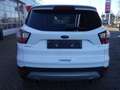 Ford Kuga 1.5 EcoBoost Trend Ultimate Wit - thumbnail 5