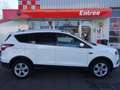 Ford Kuga 1.5 EcoBoost Trend Ultimate Wit - thumbnail 7