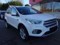 Ford Kuga 1.5 EcoBoost Trend Ultimate Wit - thumbnail 8