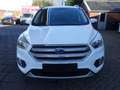Ford Kuga 1.5 EcoBoost Trend Ultimate Wit - thumbnail 2