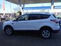 Ford Kuga 1.5 EcoBoost Trend Ultimate Wit - thumbnail 3