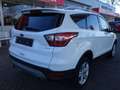 Ford Kuga 1.5 EcoBoost Trend Ultimate Wit - thumbnail 6