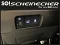 Kia Sorento 2,2 CRDi SCR AWD Platin DCT 7-Sitzer (SOFORT VE... Schwarz - thumbnail 28