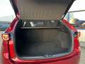 Mazda CX-5 2.5 SkyActiv-G 194 Signature Bose l 360 Camera l C Rot - thumbnail 45