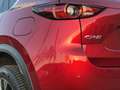 Mazda CX-5 2.5 SkyActiv-G 194 Signature Bose l 360 Camera l C Rot - thumbnail 47