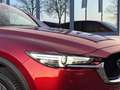 Mazda CX-5 2.5 SkyActiv-G 194 Signature Bose l 360 Camera l C Rot - thumbnail 4