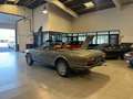 Peugeot 504 2.7 V6 Beige - thumbnail 18
