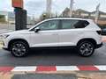 SEAT Ateca 2.0TDI CR S&S Style DSG 150 Blanco - thumbnail 5