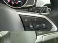 Volkswagen Passat Variant Business TDI SCR DSG Grau - thumbnail 13