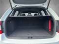 Skoda Octavia Combi RS 2,0 TDI Green tec Weiß - thumbnail 15