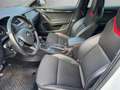 Skoda Octavia Combi RS 2,0 TDI Green tec Weiß - thumbnail 19